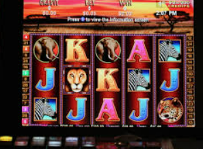 ayx手机版登录入口最新版