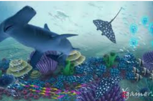 ayx手机版登录入口2024最新版