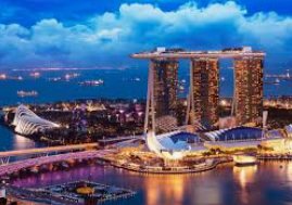 ayx手机版登录入口2024最新版