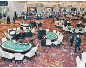 ayx手机版登录入口最新版